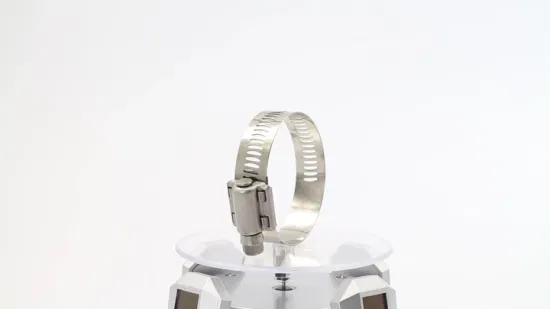 12.5mm Bandwidth Perforated Heavy Duty Stainless Steel Worm Drive Adjustable American Type Hose Clamp for Automotive, 13-23mm